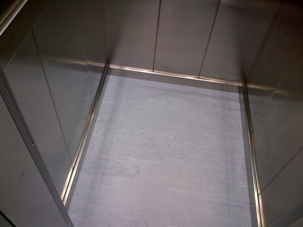 שמירה על ניקיון המעלית בעת הצביעה